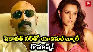 షెకావ‌త్ స‌ర్ తో యానిమ‌ల్ బ్యూటీ రొమాన్స్I Animal Beauty Romance with Shekhawat l Triiangle Media