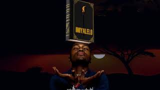 Nomndayi Umpetha (Visualizer)