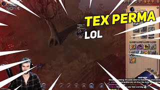 TEX PERMA LOL | Daily Albion Online Community Highlights