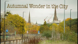 Autumn Wonder in the City 2025