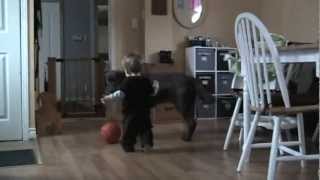Harrison Holidays 2012