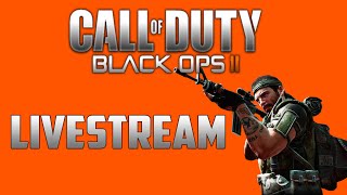 BO2- MY FIRST EVER SWARM WITH IRON SIGHTS