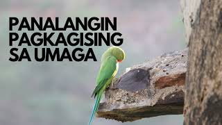 PANALANGIN PAGKAGISING SA UMAGA