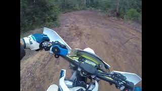 quick little squirt from pigs garden