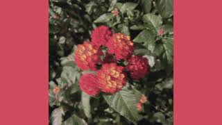 Maberry - fix you