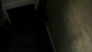 Max Plays with the Door