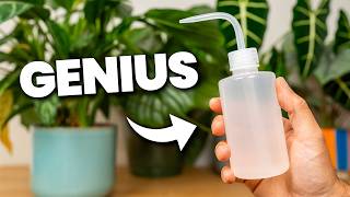 15 Plant Hacks That ACTUALLY Work