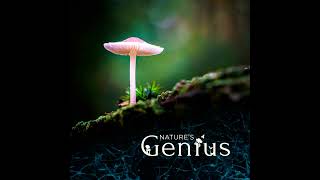 Future Ecologies presents: Nature's Genius
