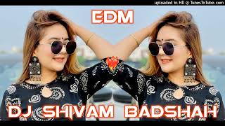 YAAD KARO US BAGIYA KO 🔊 BHOJPURI SONG ❌ EDM BOOM BASS 🔥 DJ SHAILENDRA DADA 🔥 DJ SHIVAM BADSHAH