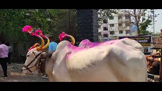 #nashik mandav rudra band kosvan 🎷👌🥁mere ghar ke aage sai nath Tera Mandir ban jaye song 