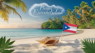 Exploring Playa Escondida:Tropical Paradise in Puerto Rico  🇵🇷