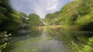 Troy Graham - Outside
