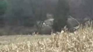 Happy Huntsman hound and Feild Nov 15 2009
