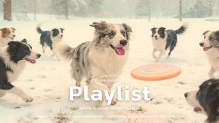 🎧playlist / Perfect for weekend vibes…! At home, in-store, or in the car | weekend pop🎵