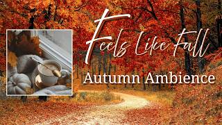 Autumn Ambience Music Playlist: Feels Like Fall 🍂🐿️