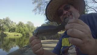 Des Plains River Fishing , Schiller Park IL