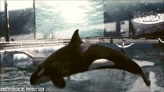 Rest in Peace, Lolita