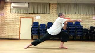 Brisbane Knife Combat and Defense Study Group - Leg conditioning exercise