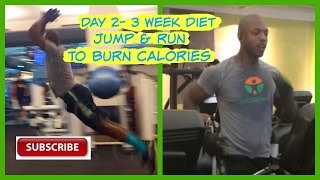 Day 2  3 Week Diet