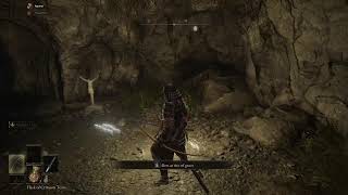 Elden Ring (The starting journey)