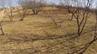 Firing Range