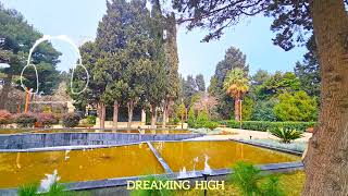 Mona - Dreaming High