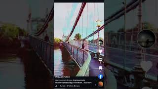 Tower Bridge & Hammersmith Bridge