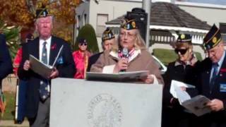Veterans Day 2011 Speech