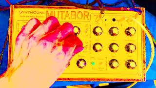 Synthcone Mutabor. Slices of a jam