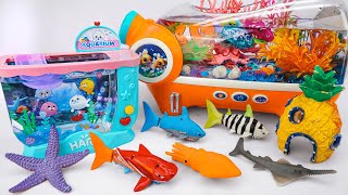 [🐋toy asmr🐋] ZURU Robo Mosasaurus & Sea Dinosaurs & Blue Shark & Dino Battle Toys ASMR 🌟 Review Toys