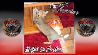 Stuffin' On The Floor Music Lyrics