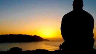 DUB BROWN - SEARCHING - (PEIXEIRO) with lyrics