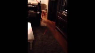 Samuel cross country skiing