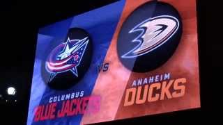 Gingerbread Ted #13 - Anaheim Ducks Ice Hockey Match