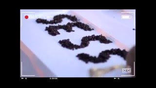 Au BLCK Naturel Sessions Teaser #1