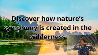 Nature's Symphony: A Journey Through the Wilderness