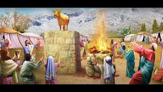 Surat Al-Bayyinah Summary (The Clear Proof) | سورۃالبینۃ | Meaning and Explanation#quranexplanation