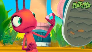 Sole Sister Slip-Up 👟 | ANTIKS | Moonbug Kids - Funny Cartoons and Animation