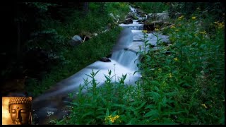 Devakottai Meditation Music falls #Meditation #Relaxingmusic #Deepfocus #yoga #concentration