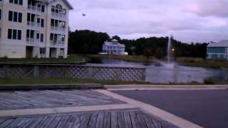 Crazy Swarm of Birds (OBX - Kill Devil Hills)