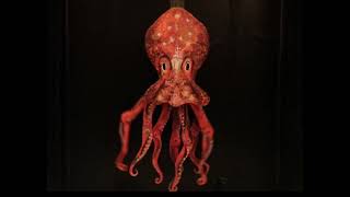 The Chaoctopus in action