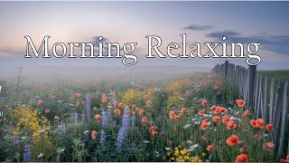 🌸 清晨花野與輕柔旋律 Morning Flowers Field｜曙光中的野花與晨霧｜1小時鋼琴放鬆｜1 Hour Morning Relax Piano Music