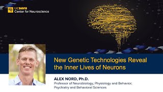 New Genetic Technologies ​Reveal the Inner Lives of Neurons
