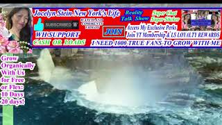 S1 Ep1:  Calming, Relaxing, Waterfall Sounds: Meditation | #JOCELYNSTEINNewYork'sLife