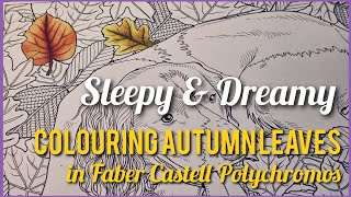 Colouring Autumn Leaves in Polychromos - DREAMY to help you sleep.  