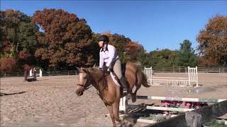 Baskin Farm Academy Show 2018