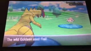 10 - Live Shiny Goldeen