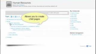 CoTrakr Focus Groups