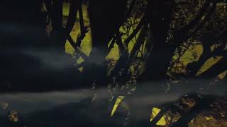 Sustancia Arcana - REM