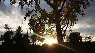 "A DAY IN THE PARK"